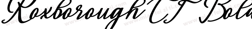 RoxboroughCF BoldItalic字体转换